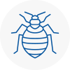 Bed Bug Extermination In Tower Hamlets
