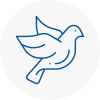 Bird Prevention Tower Hamlets