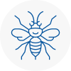 Tower Hamlets Hornet Nest Removals