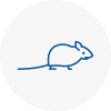 Mice Exterminators In Tower Hamlets