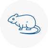 Rat Control Tower Hamlets