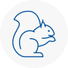 Tower Hamlets Rodent Removals