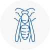 Tower Hamlets Wasp Nest Removal